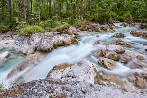 Gemeinde Ramsau Landkreis Berchtesgadener_Land Zauberwald am Hintersee (Dirschl Johann) Deutschland BGL